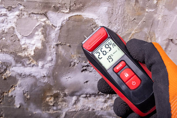 Best Affordable Mold Removal  in Gardner, KS