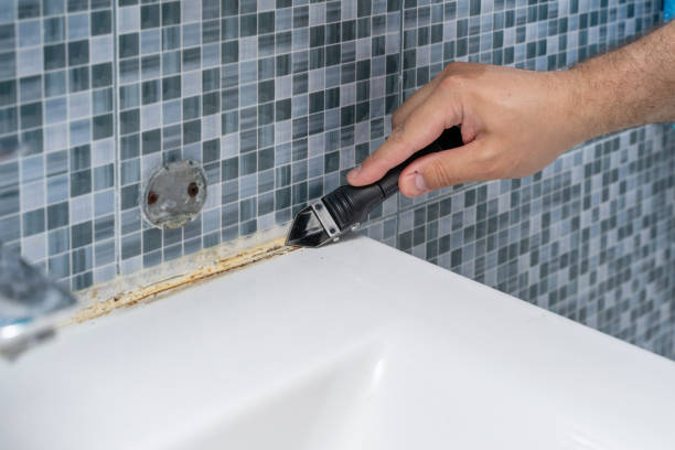 Best Mold Removal Company Near Me  in Gardner, KS