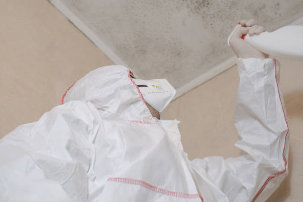 Best Professional Mold Removal  in Gardner, KS